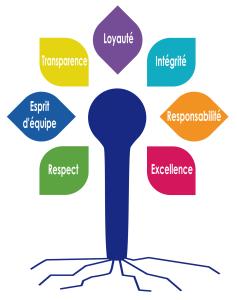 arbre des valeurs